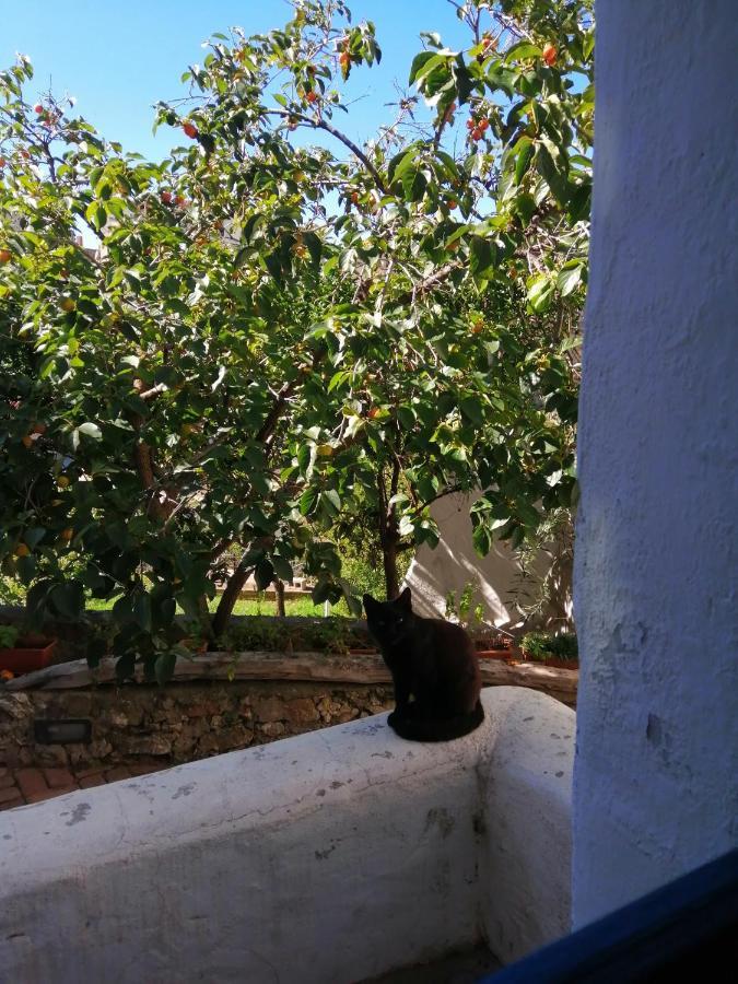 B&B Corte San Lussorio Oliena Exterior foto