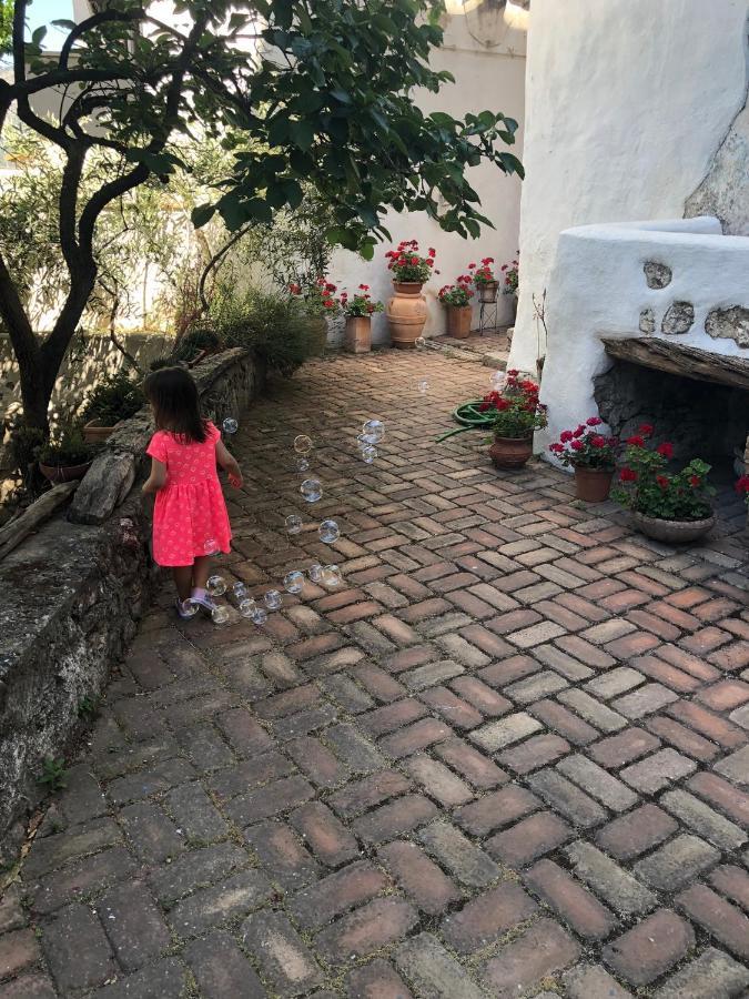 B&B Corte San Lussorio Oliena Exterior foto