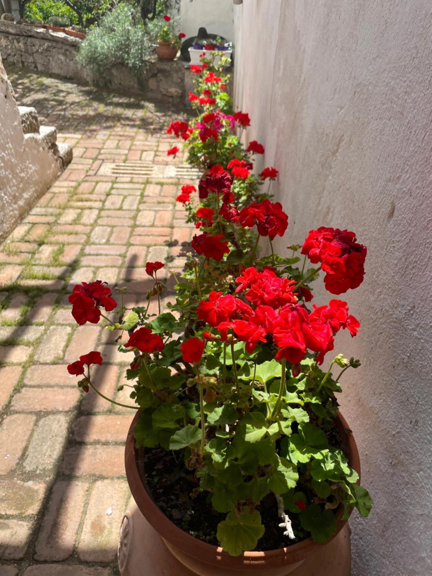 B&B Corte San Lussorio Oliena Exterior foto